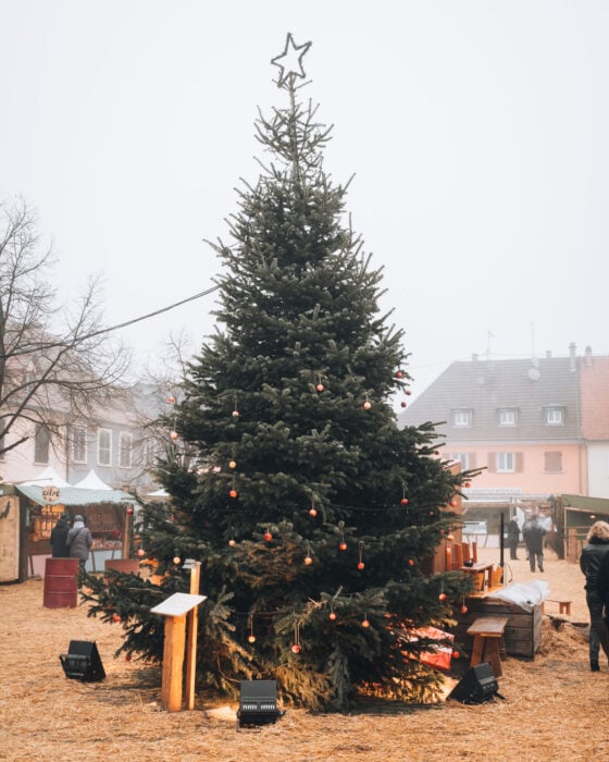 A giant Christmas tree with a star and red ornaments sits at the center of the Christmas market in Neuf-Brisach. It's surrounded by wooden chalets and people are walking around in period costumes.