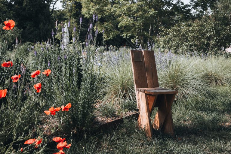 This is the Dominique Alexandre Godron Garden in Nancy. There is a small wooden chair surrounded by trees, grass, and flowers.