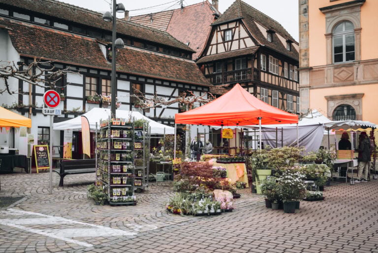 Outdoor stalls at the Obernai Easter market in Place de l’Étoile with vendors selling plants food and handmade crafts beneath white tents. The square is lively with visitors browsing the market and enjoying the spring atmosphere.