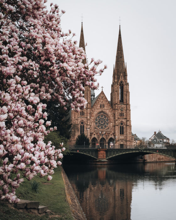 Gothic Église Saint-Paul in Strasbourg photographed in spring with soft daylight highlighting its twin spires and detailed stone architecture. Trees with fresh green leaves frame the church, creating a calm seasonal contrast.