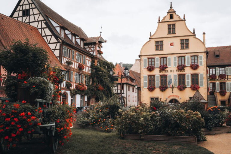 Summer view of Jardin de la Ville in Turckheim with lush green lawns, shaded trees, and a peaceful park setting beside traditional Alsatian buildings.