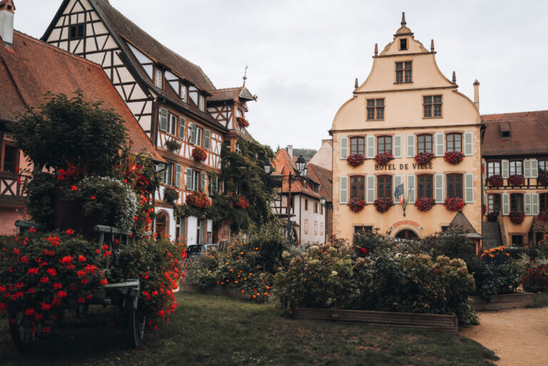 Flourishing flowers and bushes at Jardin de la Ville in Turckheim. In the background there are half-timbered buildings and the city hall, all of which are decorated with hanging baskets of flowers.
