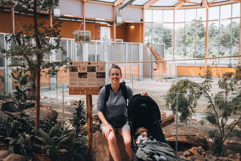This is me, Jen Ciesielski, at the Zoological and Botanical Park of Mulhouse. I'm next to a stroller with my son, Noah, and in the back there is a giraffe walking and it's surrounded by trees.
