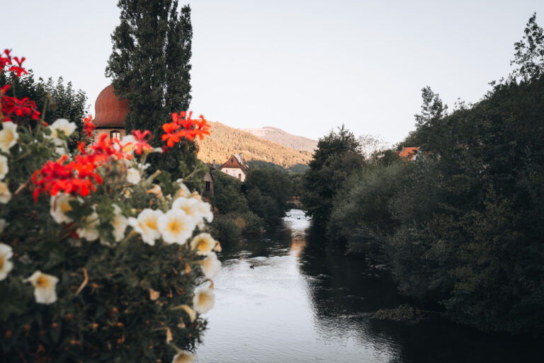 La Thur River from Rue du Ragen in Thann. It's surrounded by overgrown trees, bushes, and the bridge is lined with bright red and white flowers.