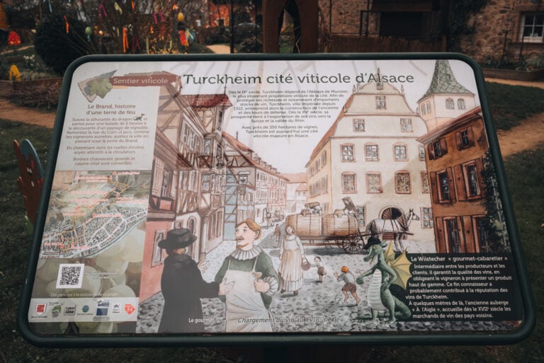 Illustrated map showing the vineyard hiking trail in Turckheim with marked paths winding through vineyards, hills, and viewpoints above the village.