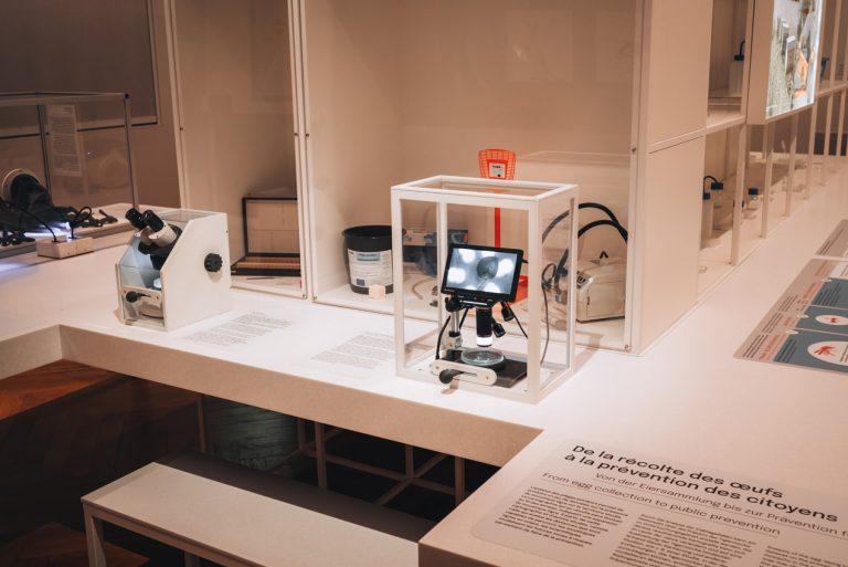 This is a Mini Lab at the Zoological Museum in Strasbourg. There are two microscopes that are zooming on bacteria found on bees.