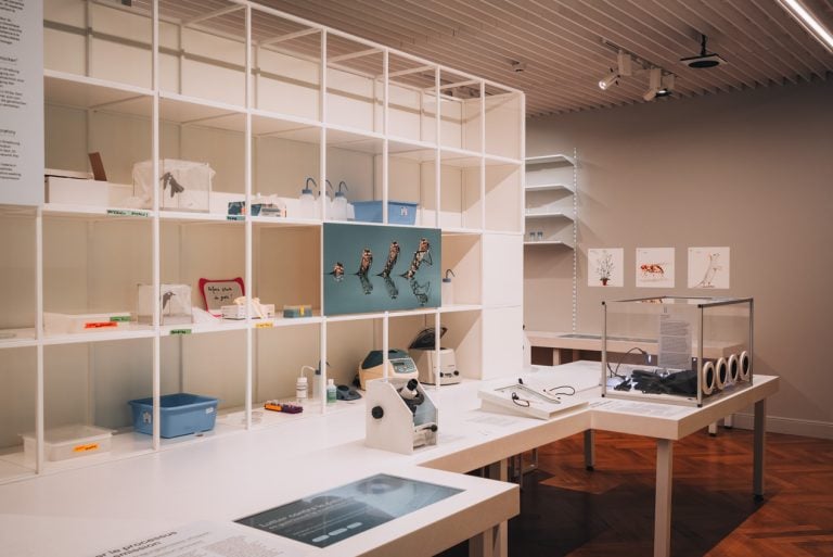 This is mock lab at the Zoological Museum in Strasbourg. There is a microscope, a glove box, and other items to show you how they analyze different specimens at the museum.