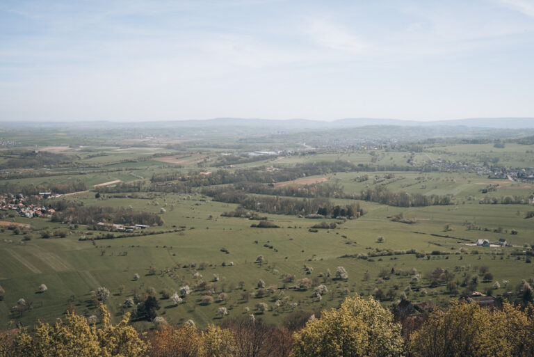 Panorama from the high terrace of the Haut Barr Castle with vineyards, farms, and trees in the distance. This is one of the best castle to hike to in Alsace.