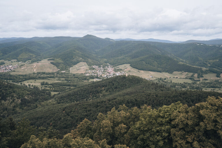 Panorama from the Upper Walls of the Château du Hohlandsbourg. In the distance there are the tree covered Vosges and the rooftops of small villages.