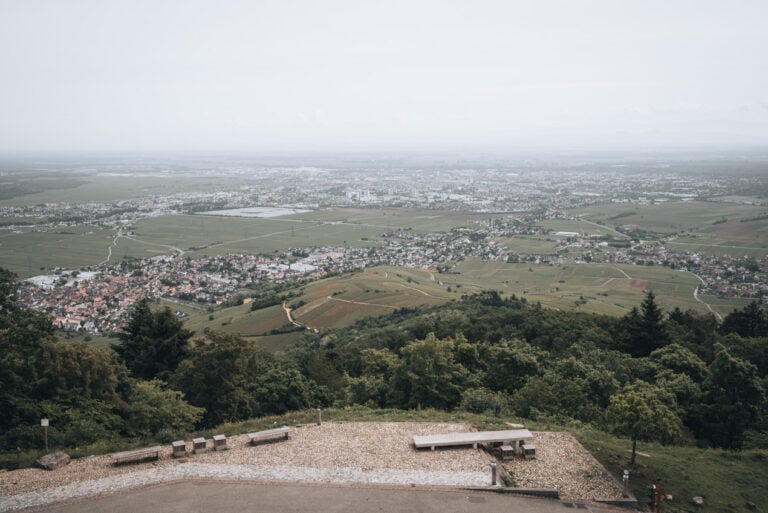 Panoramic view of Colmar from the upper terraces of the Château du Hohlandsbourg with vineyards, forests, and the town stretching across the Alsace Plain. The sweeping scenery is one of the highlights of visiting this castle.