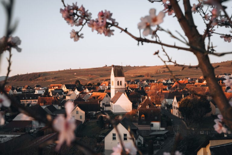 Wide panoramic view of Mittelwihr from Chemin des Amandiers showing vineyard covered hills and village rooftops. The landscape highlights the wine country scenery along this Alsace wine route itinerary.