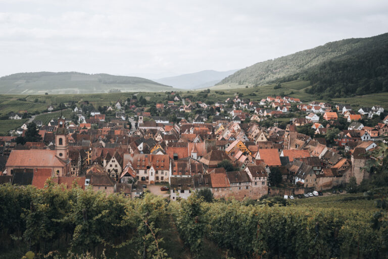 Panorama of Riquewihr with vineyards in the foreground and rooftops surrounded by the Vosges in the distance.