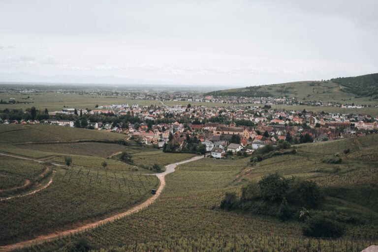 Panorama of Turckheim with the vineyards in the foreground from the Col du Brand. There's a dirt road winding through the vineyards and leading to Turckheim's city center.