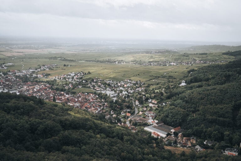 Panorama of the Alsace Wine Route from the high vineyards in Ribeauvillé. The rooftops, vineyards, and wine route are visible in the distance.