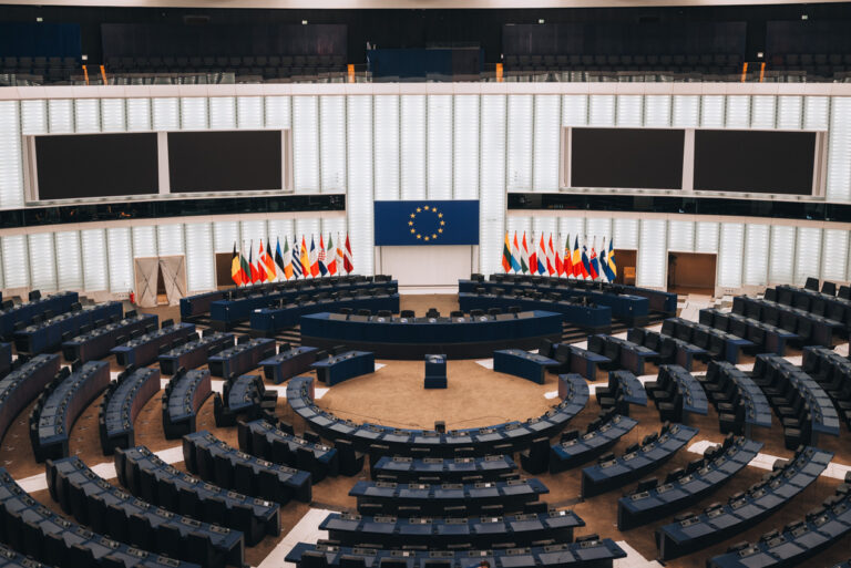 This is a panorama of the hemicycle at the European Parliament in Strasbourg. There is a seat for every representative, a flag for every country, and the European flag.