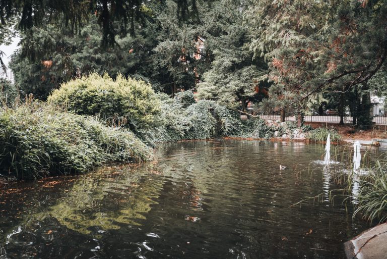 This is Parc Salvator in Mulhouse. There is a small pond with ducks and it's surrounded by trees.
