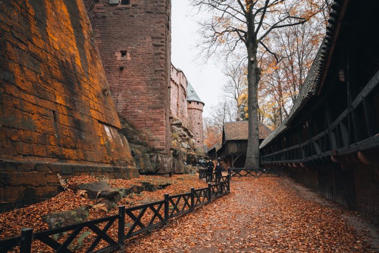 This is the pathway that leads to the exit of the Haut Koenigsbourg Castle. It's a paved road with a wooden fence and there are leaves on the ground. 