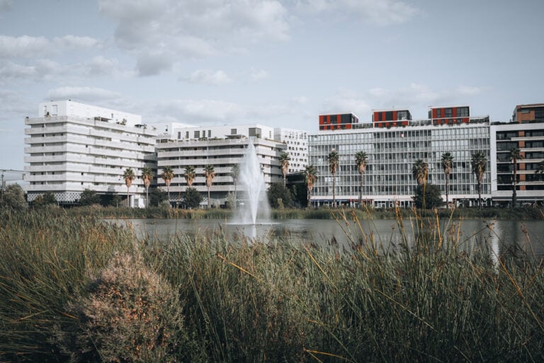 This is Place Michel Rocard in Port Marianne Neighborhood in Montpellier. There are bushes surrounding the Bassin jacques Cœur and in the center there is a fountain. Then, in the distance, there are tall modern buildings.