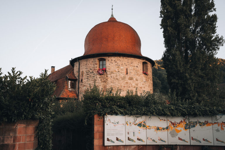 A stone circular town surrounded by green bushes and a wall that details how wine is cultivated in Thann. This is the southern end of the Alsace Wine Route.