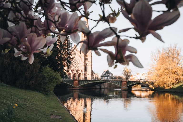 This is St. Paul's Church as viewed from Pont Royal. There is the church and a magnolia tree framing it.