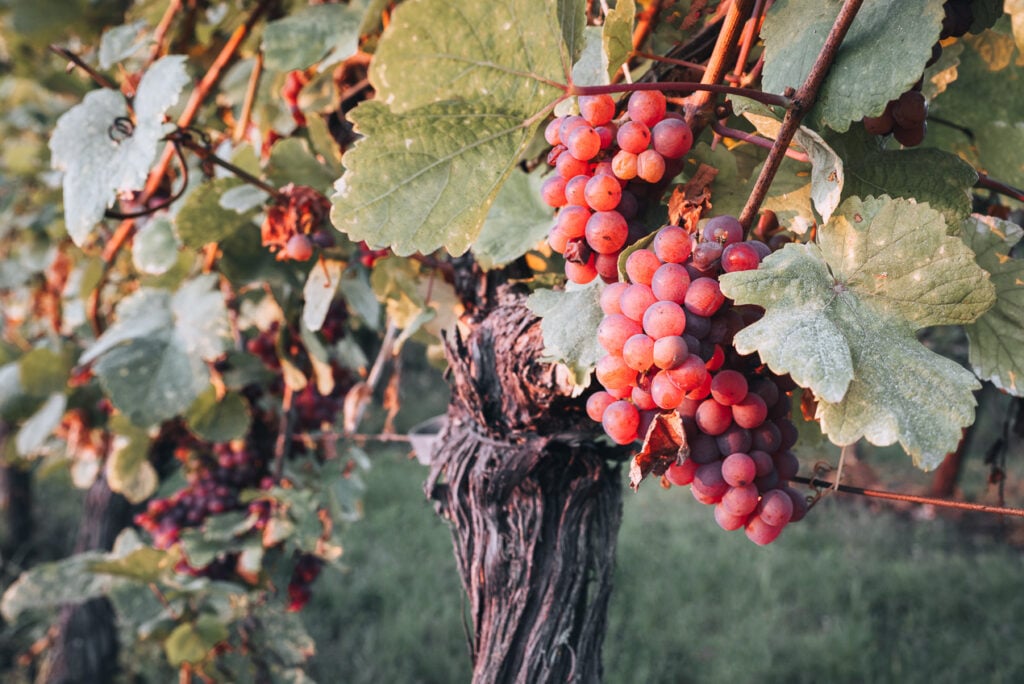 21 Best Places to Live in France for Expats in 2024