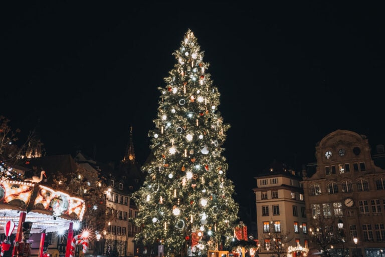 The giant Christmas Tree in Place Kléber covered in lights and decorations at night.