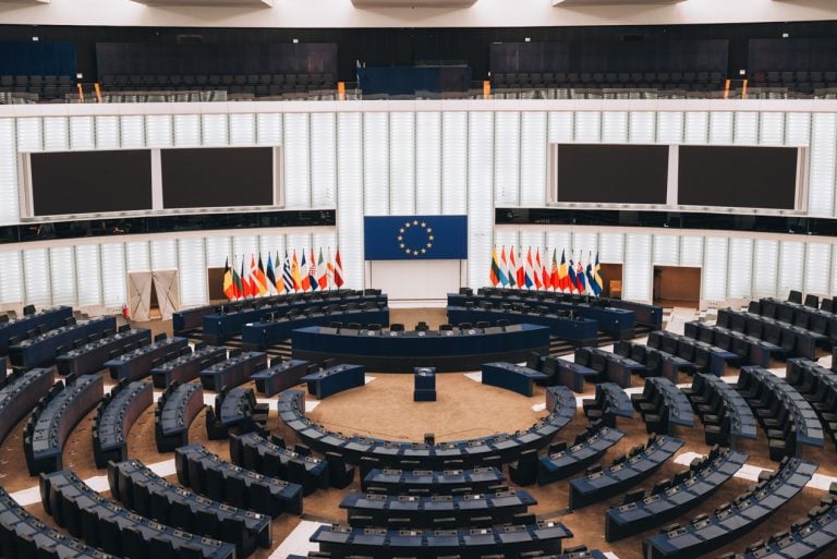 This is the hemicycle at the European Parliament in Strasbourg. It's a large room with all the flags from the European Union and chairs for all the representatives.