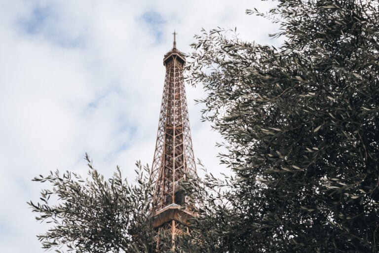 The Eiffel Tower framed by a green leafy tree on a sunny day. If you're visiting you will need to know the language in Paris.
