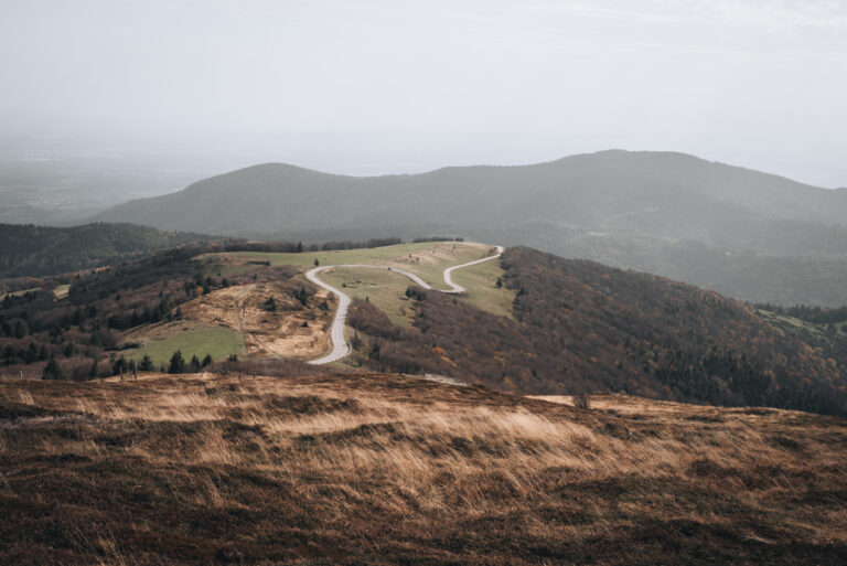 Panorama from the Grand Ballon Panorama Tour. There are tree covered hills in the distance and in the middle there is the Route des Cretes weaving through the hills.