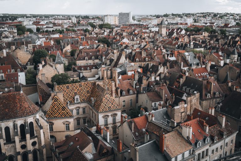 This is one of the views from the Philippe le Bon Tower. You can see the roof tops of the buildings in Dijon and there are several with colorful glazed tiles.