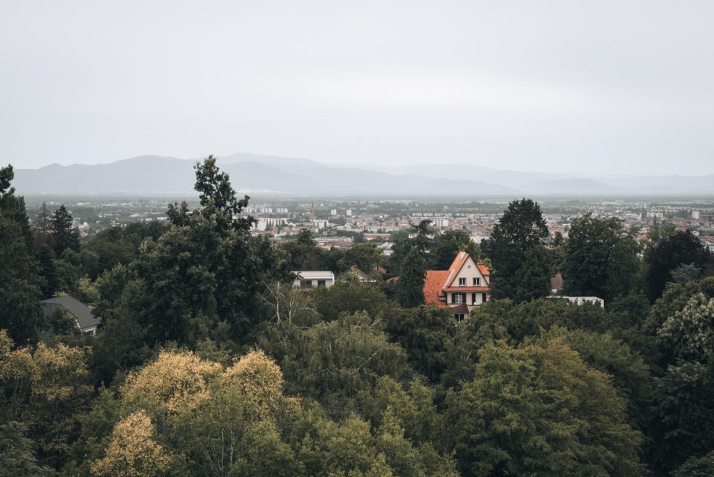 This is the view from the Tour du Belvédère in Mulhouse. There is the top of the trees, rooftops, and the outline of the Vosges in the distance.