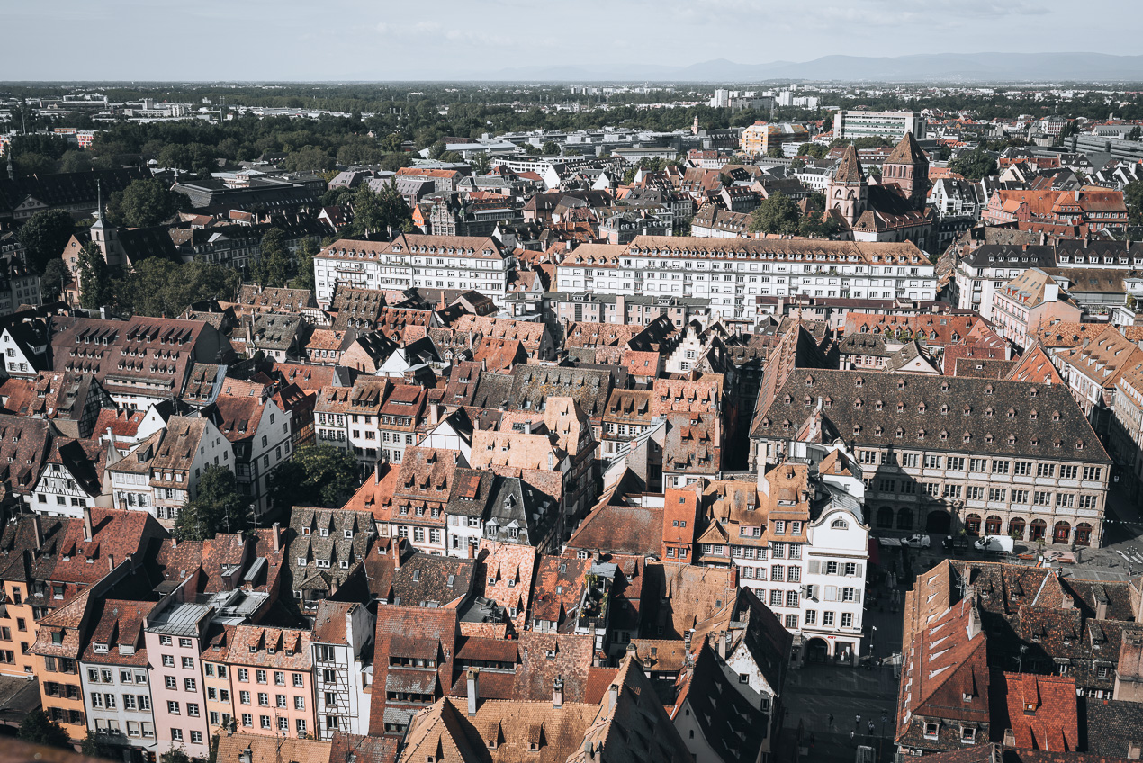 What to Do in Alsace: Experiences I’d Prioritize as a Local