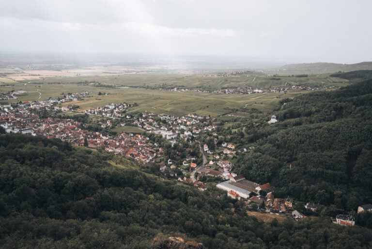 Panorama of the Alsace Wine Route from the castles overlooking Ribeauville. This is one of the top things to do in Alsace.